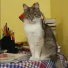 Отзыв от Варвара Шилова